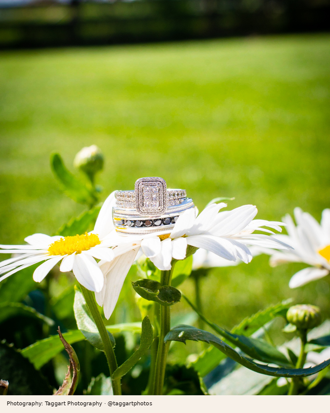 Real wedding at Stone Ridge Estates featured in Spring, Summer or Fall: Choosing Your Wedding Season in the Tri-Cities